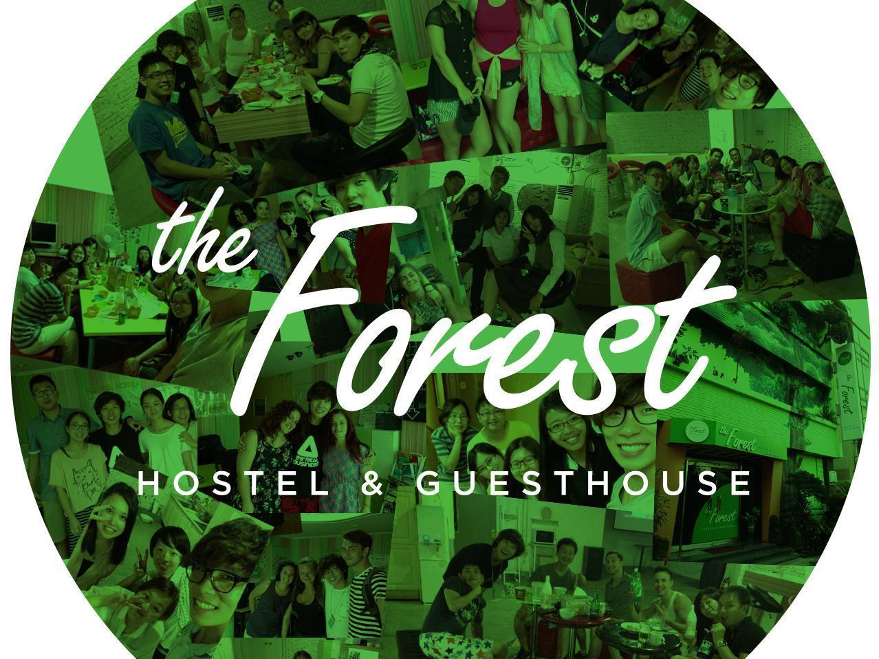 The Forest Hostel Jeju by Eksteriør bilde